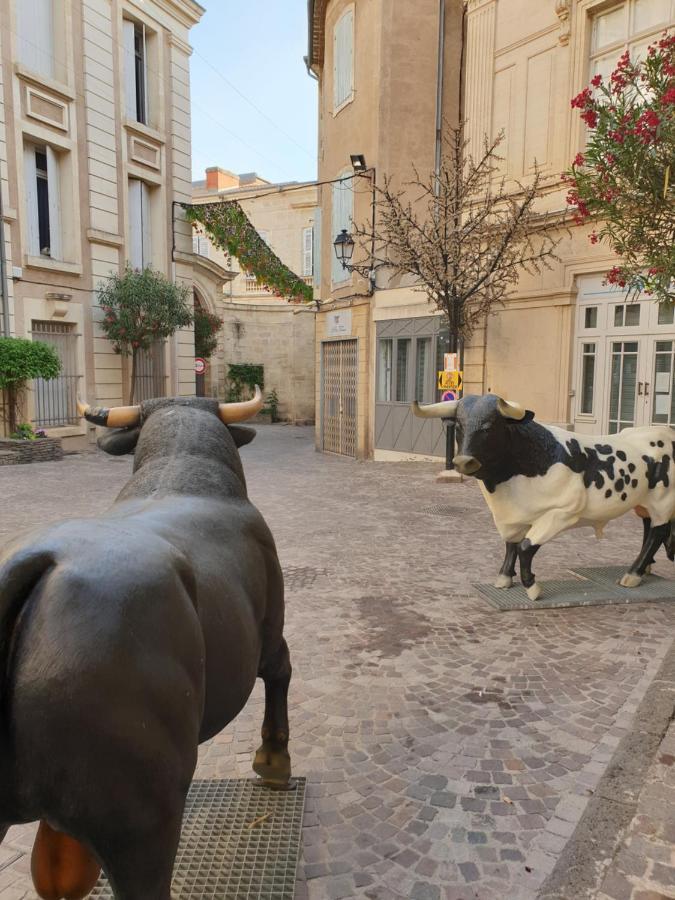 Bienvenue-beziers Apartment